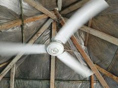 -邱家老字号炒鸡店