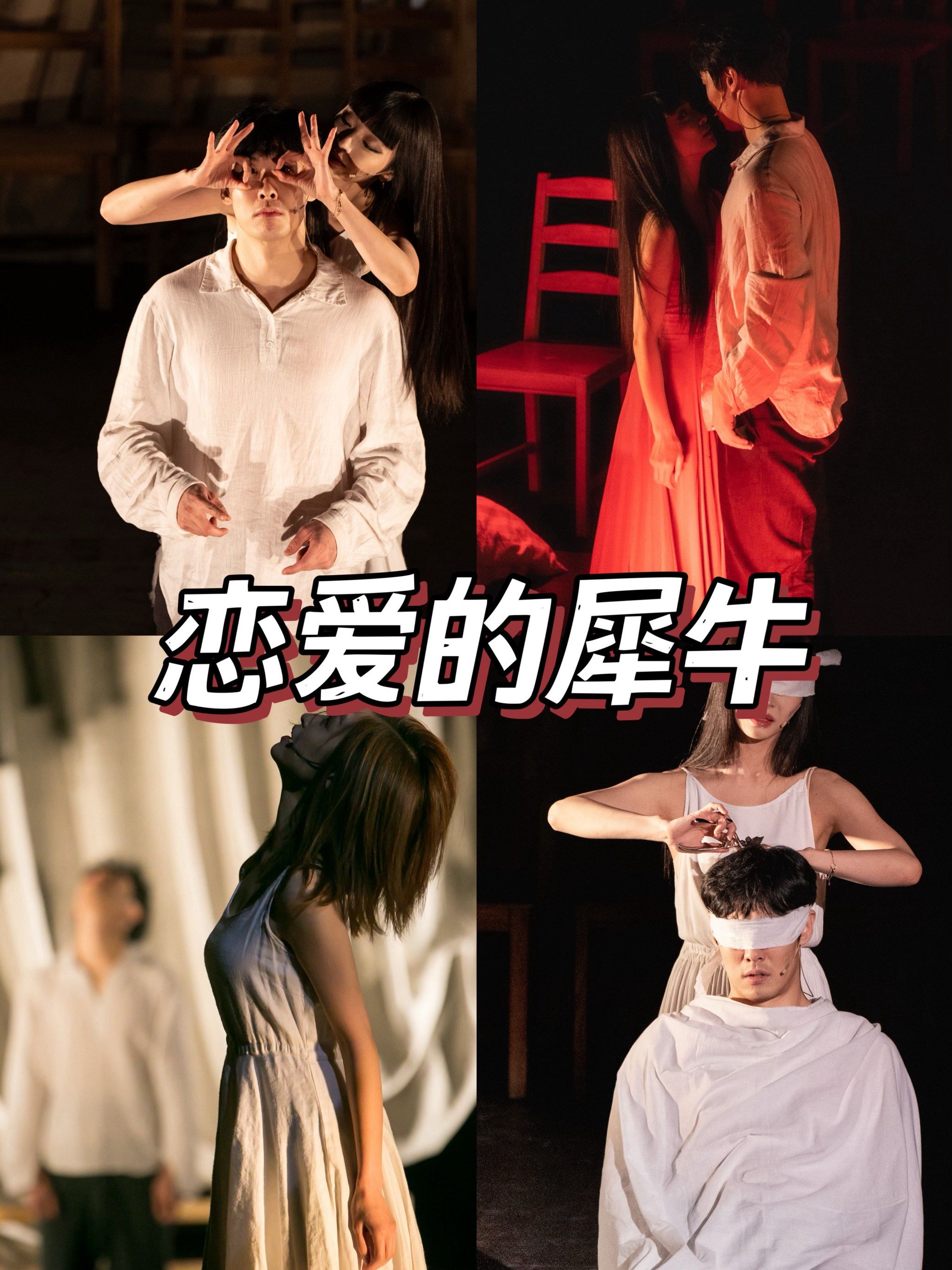 恋爱的犀牛豆瓣