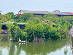 -长鹿旅游休博园