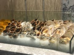 -瑞德姆美人鱼海底演艺主题餐厅(亚龙湾店)