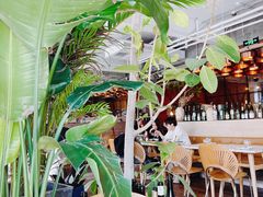 -the rug 飞毯 (朝阳公园店)