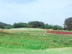 -保利石象湖景区