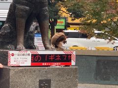 -涩谷区