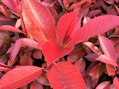 -九里河湿地公园