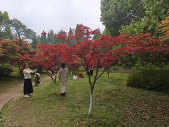 -花溪公园