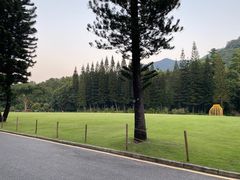 -深圳仙湖植物园