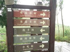 -西青郊野公园