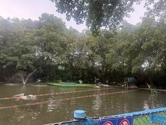 -广州长隆飞鸟乐园