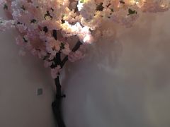 -樱花里音乐餐吧·牛扒椰子鸡(东圃店)