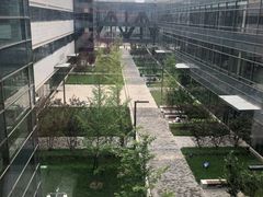 -首都医科大学附属北京天坛医院