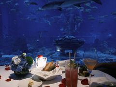 -亚特兰蒂斯•OSSIANO奥西亚诺海底餐厅