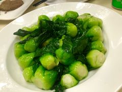 -王宝和酒家(黄浦店)