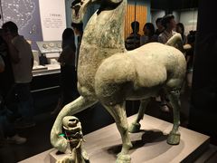 -广西壮族自治区博物馆