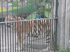 -新疆天山野生动物园