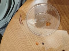 -SUN炸鸡专门店(西塔总店)