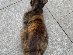 -广州天河城购物中心