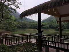 -鼎湖山风景区
