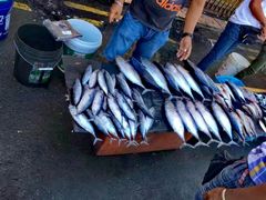 -仙本那小型鱼市