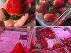 -中山美食街