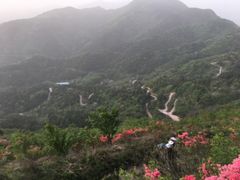 -木兰云雾山
