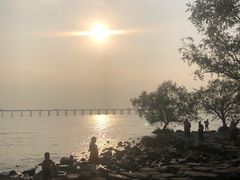 -宝安西湾红树林湿地公园