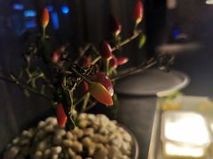 -Mercato莫卡多露台餐厅与酒吧(K11店)