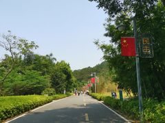 -神光山国家森林公园