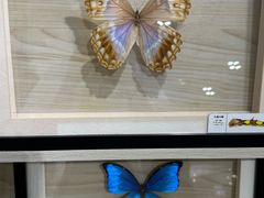 -深圳龙华星河COCO City(民治店)