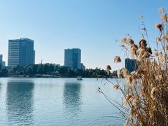 -美兰湖景区