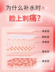 点击看大图 -玛莲朵·海菲秀冰珀科