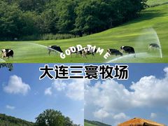 -三寰牧场