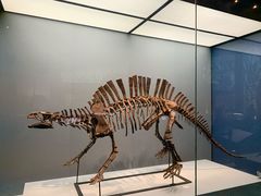 -湖南省地质博物馆