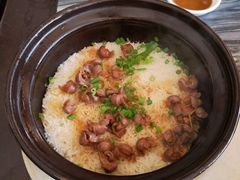 鸽肾煲仔饭-鸽鸟轩(石岐店)