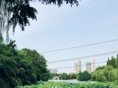 -包公祠