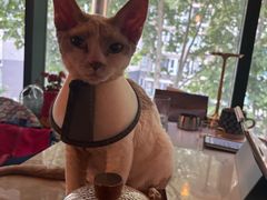-后院儿·精酿·塔罗Happy Bar