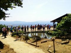 -岚山猴子公园