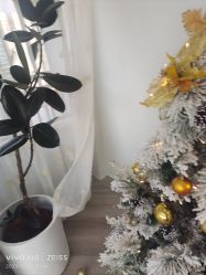 -HEYAN荷妍专业脱毛连锁机构