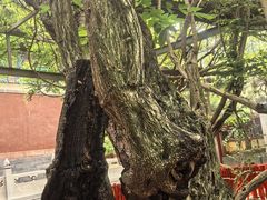 -红螺寺