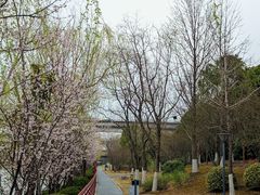 -新江湾城公园