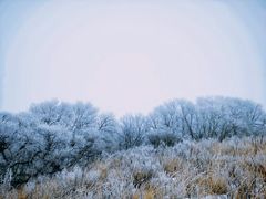 -大觉寺-停车场