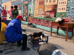-少华山国家森林公园