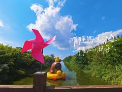 -黄海国家森林公园