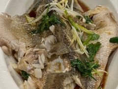 -听涛雅苑百味饺子老家菜馆