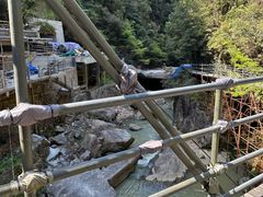 -天台山琼台仙谷景区