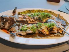 清蒸老虎斑-三利音·东方司宴(外滩店)