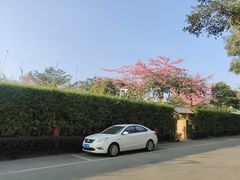 -陶缘一号·四季缘·老字号顺德菜·户外婚礼家宴(西滘店)