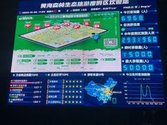 -黄海国家森林公园