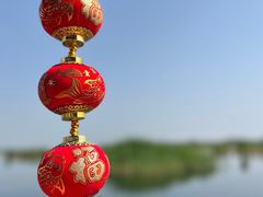 -白洋淀风景区