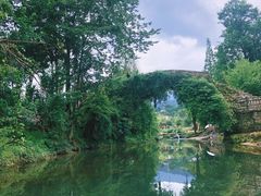 -碧峰峡风景区