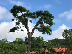 -厦门国家会计学院
